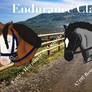 Endurance Class Week 519 Remuda Livery RNG Entry