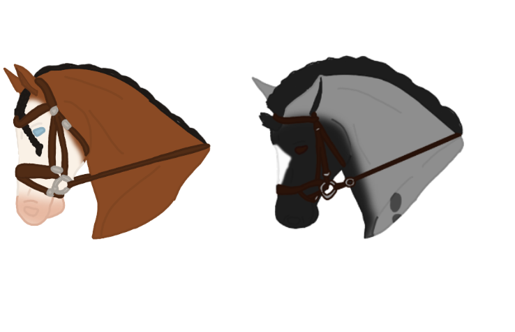 Dressage Class Week 520 Remuda Livery RNG Entry