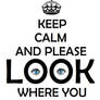 Keep Calm and LOOK where you are going !