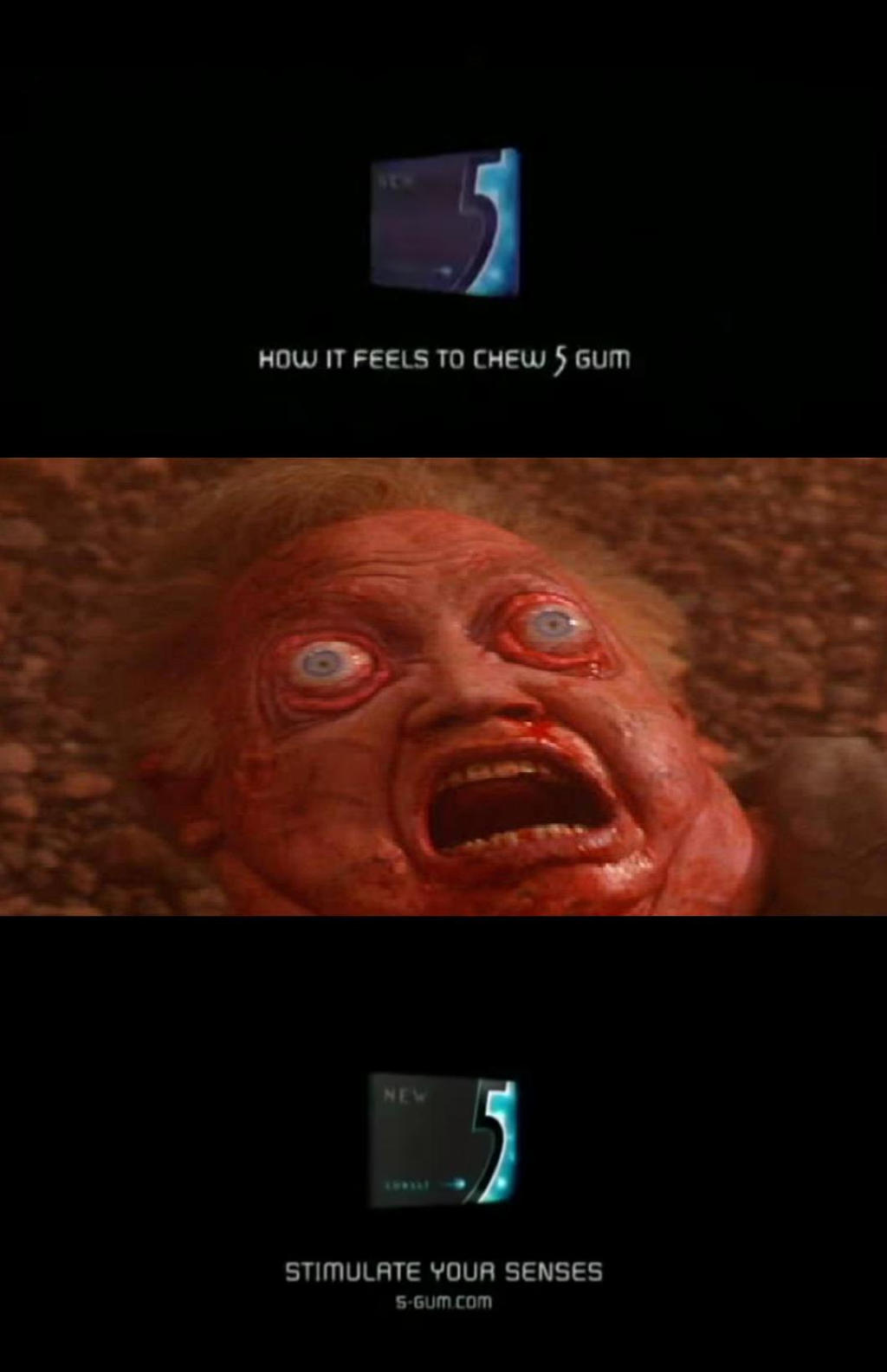 5 Gum Meme 5 Gum Meme