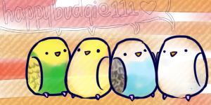 budgie request