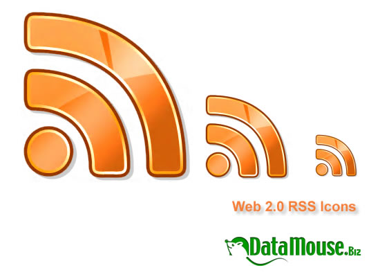 Web 2.0 RSS Icon