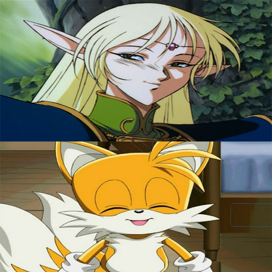 Op Tails Tails Loves Deedlit by Optimuspride1234 on DeviantArt