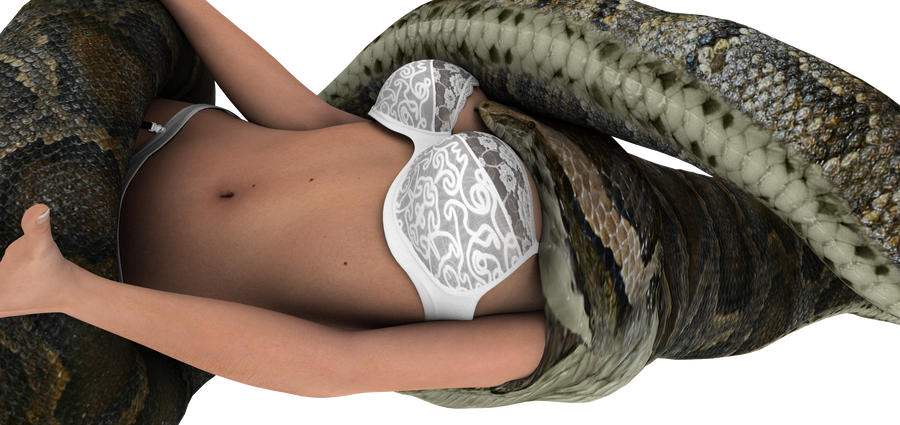 Vore Snake Vore Snake
