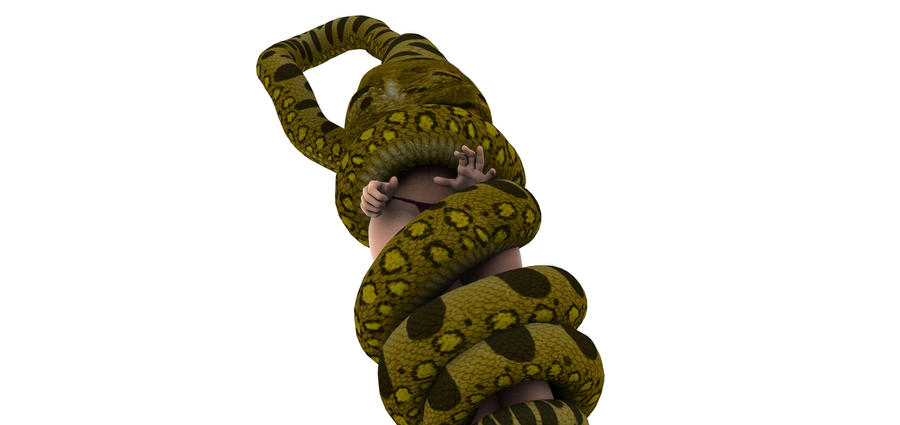 Anaconda attack 12 by SnakePerils on DeviantArt.