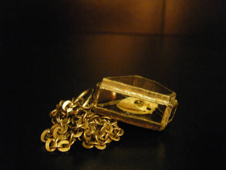 Tarentula mauritanica gecko skull in glass and tin