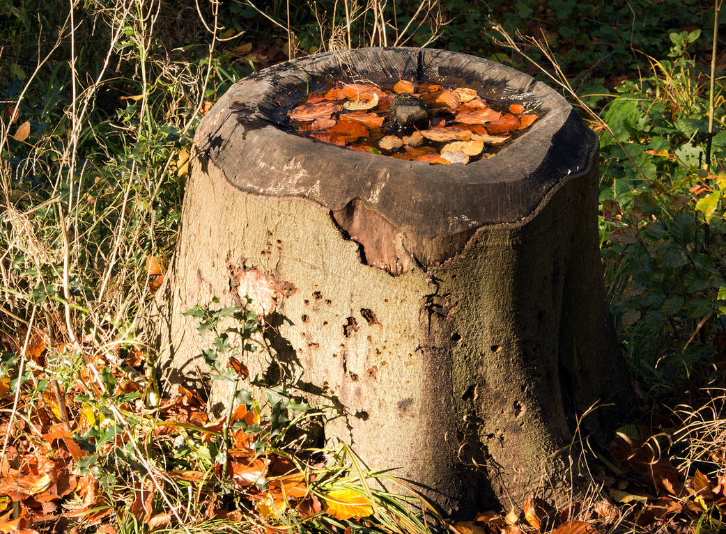 Stumped by LateDeveloper on DeviantArt