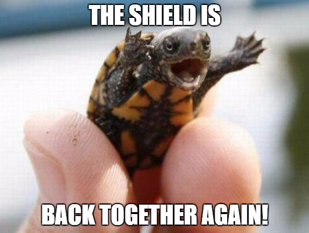 Happy Baby Turtle-The Shield