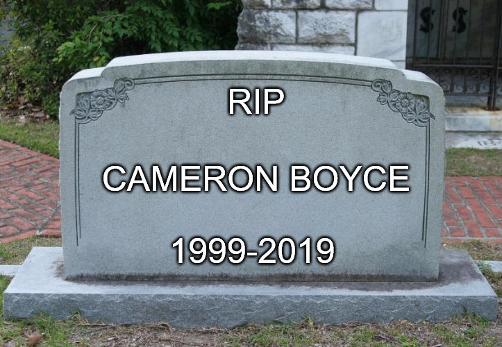 RIP Cameron Boyce 1999-2019 by EarWaxKid on DeviantArt