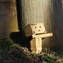 Danbo's enlightenment III