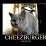 Cheezburger