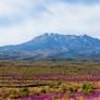 Tongariro 5