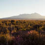 Sunset on Tongariro