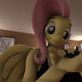 Fluttershy Find a little one(1)7