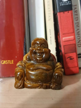 Laughing Shelf Buddha.