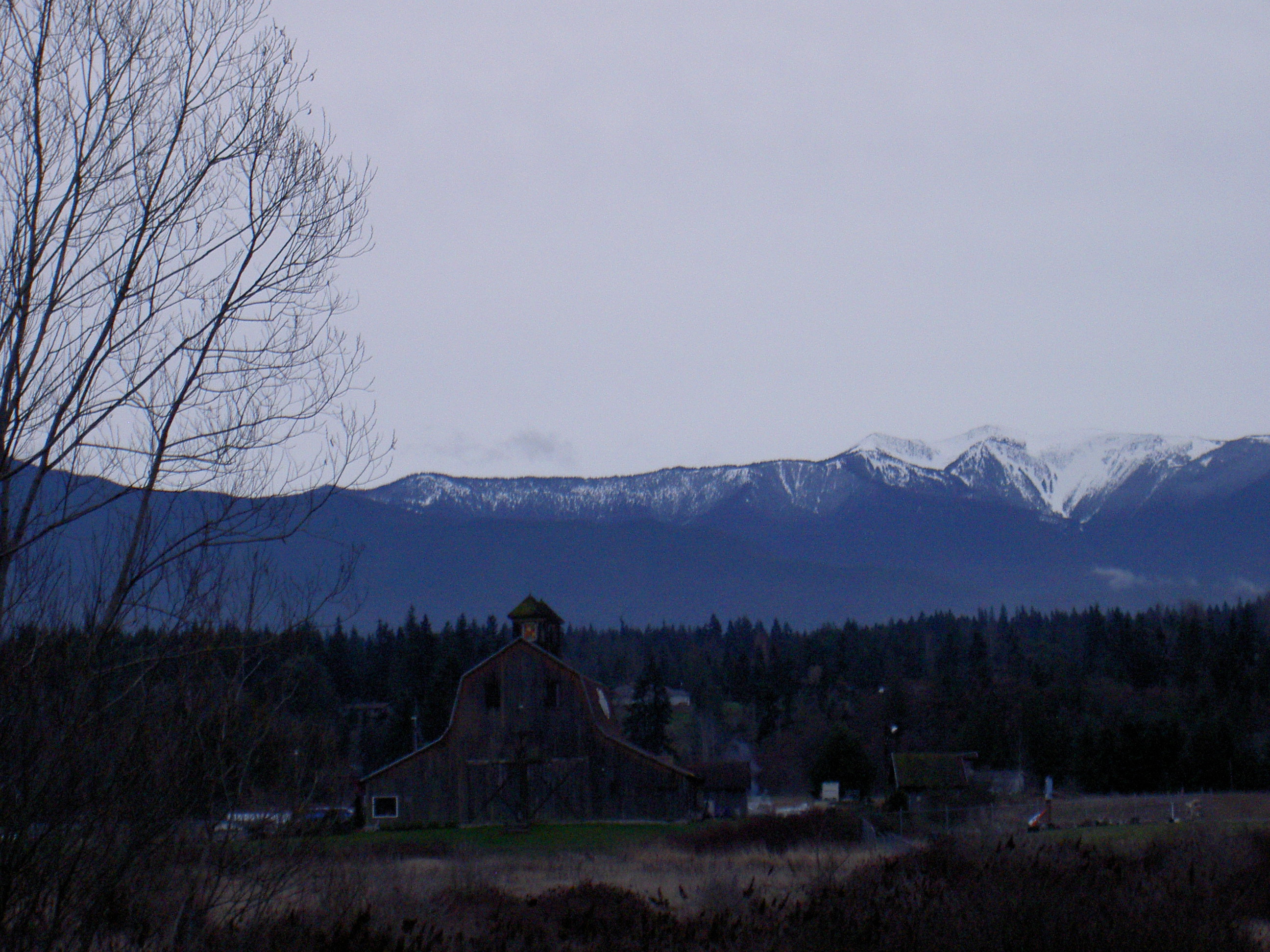 Olympic Winery