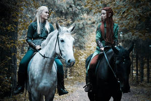 In the Mirkwood