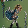 Alice 2014