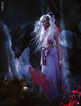 Protector of Dragons