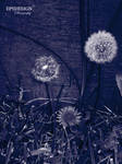 DANDELION by epsdesign