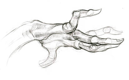 Hand (study) 4