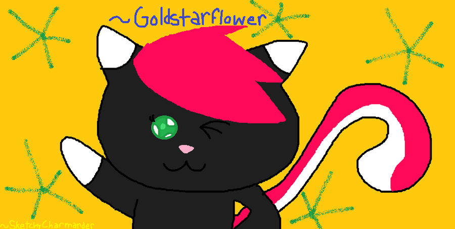 For Goldstarflower