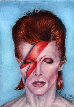 Ziggy Played Guitar