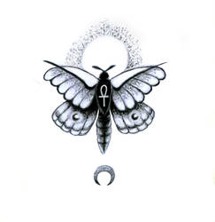 Moth Tattoo design