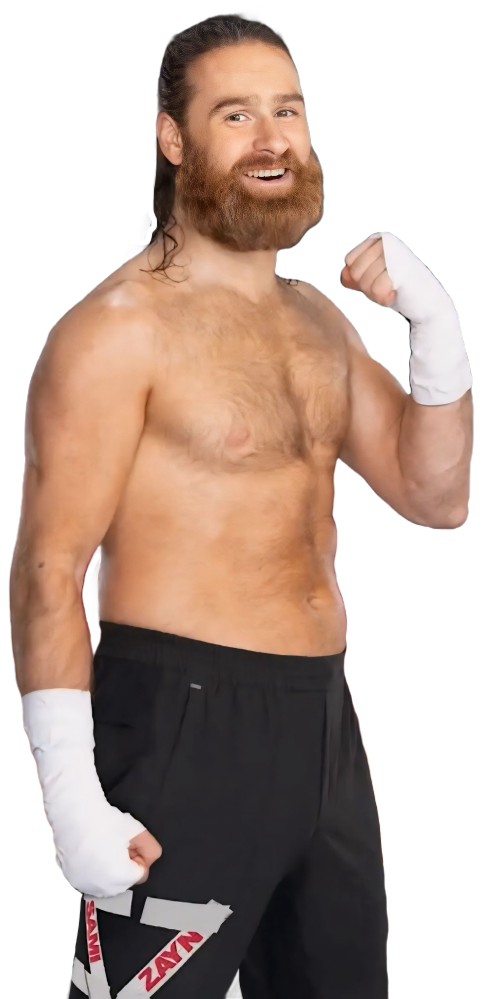 Sami Zayn WWE Render PNG by wwewomendaily on DeviantArt