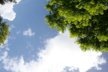 Lying down, looking up.