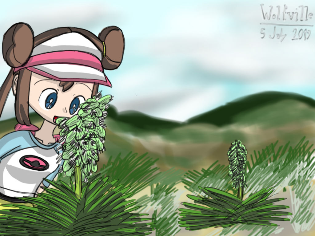 Rosa of Pokemon by WolfvilleFromPixiv on DeviantArt