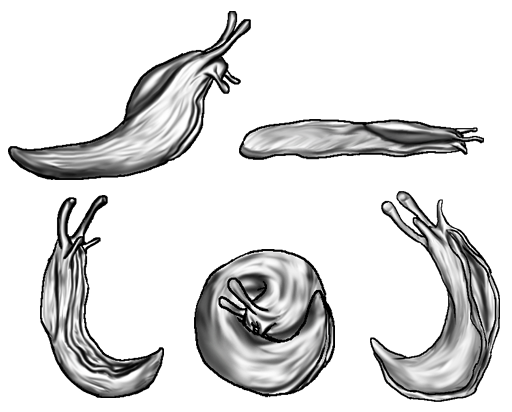 Slug Inflation Free Slug Set by Celtic-Chicken on DeviantArt