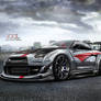 Nissan GTR R35 Team Turkey 2