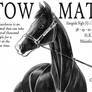 Tow Mater - The Horse, that is