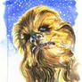 Star Wars Chewbacca sketch