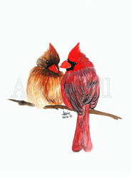 Cardinal pair