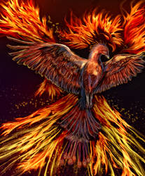 Phoenix Rising