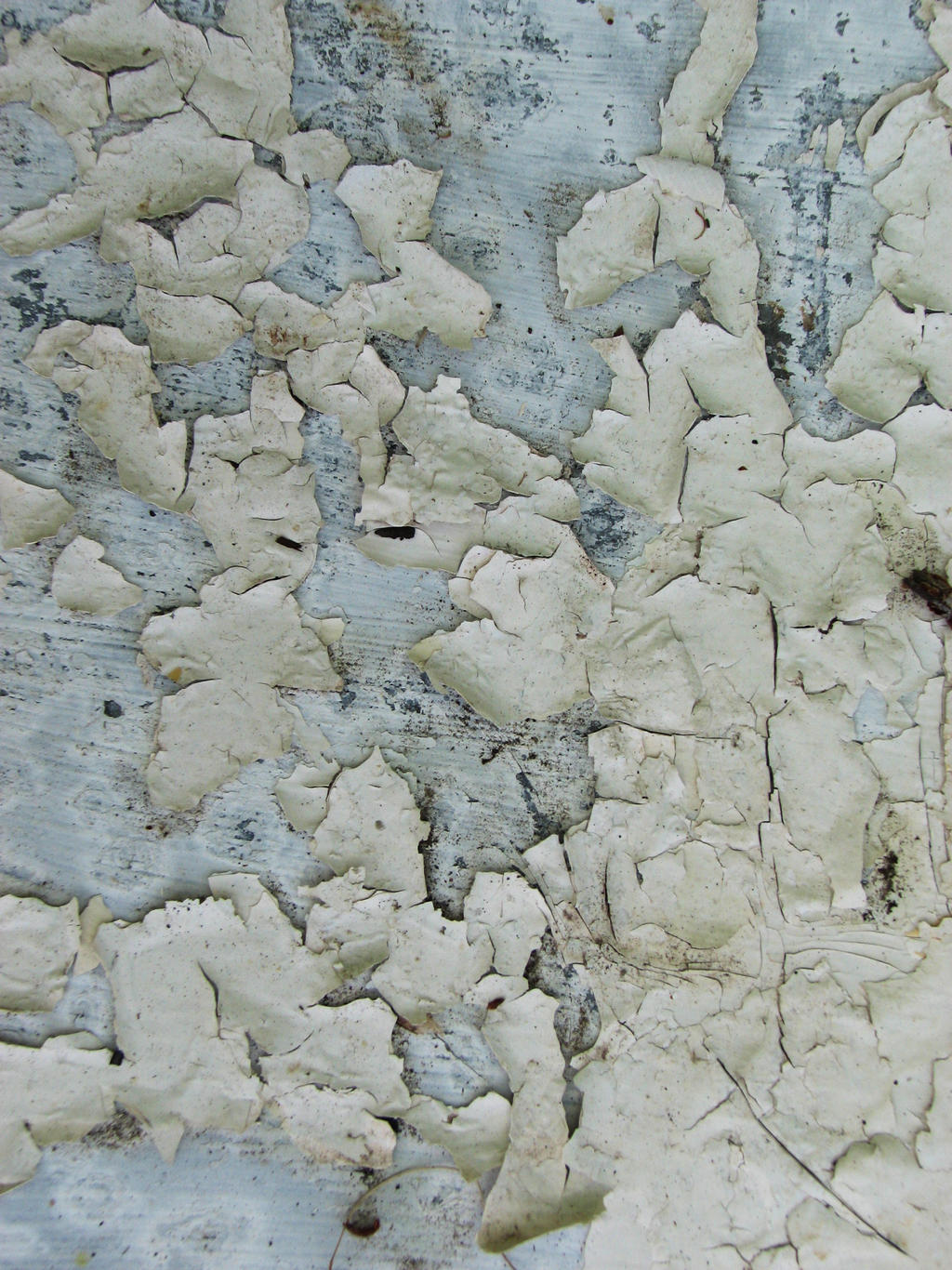 Peeling Old Paint Texture