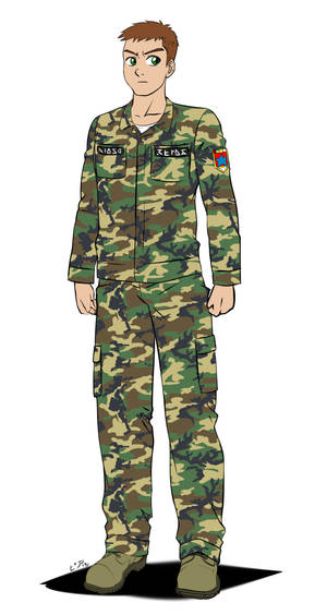 Commission - The Marine