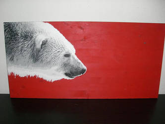 Polar Bear