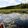 canoeing the shallows