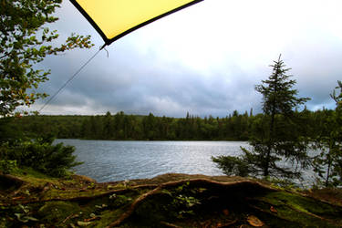 under the tarp