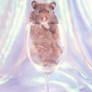 Glass of Hamster