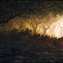 Silent Shadows