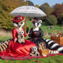 Meerkat Picnic 4