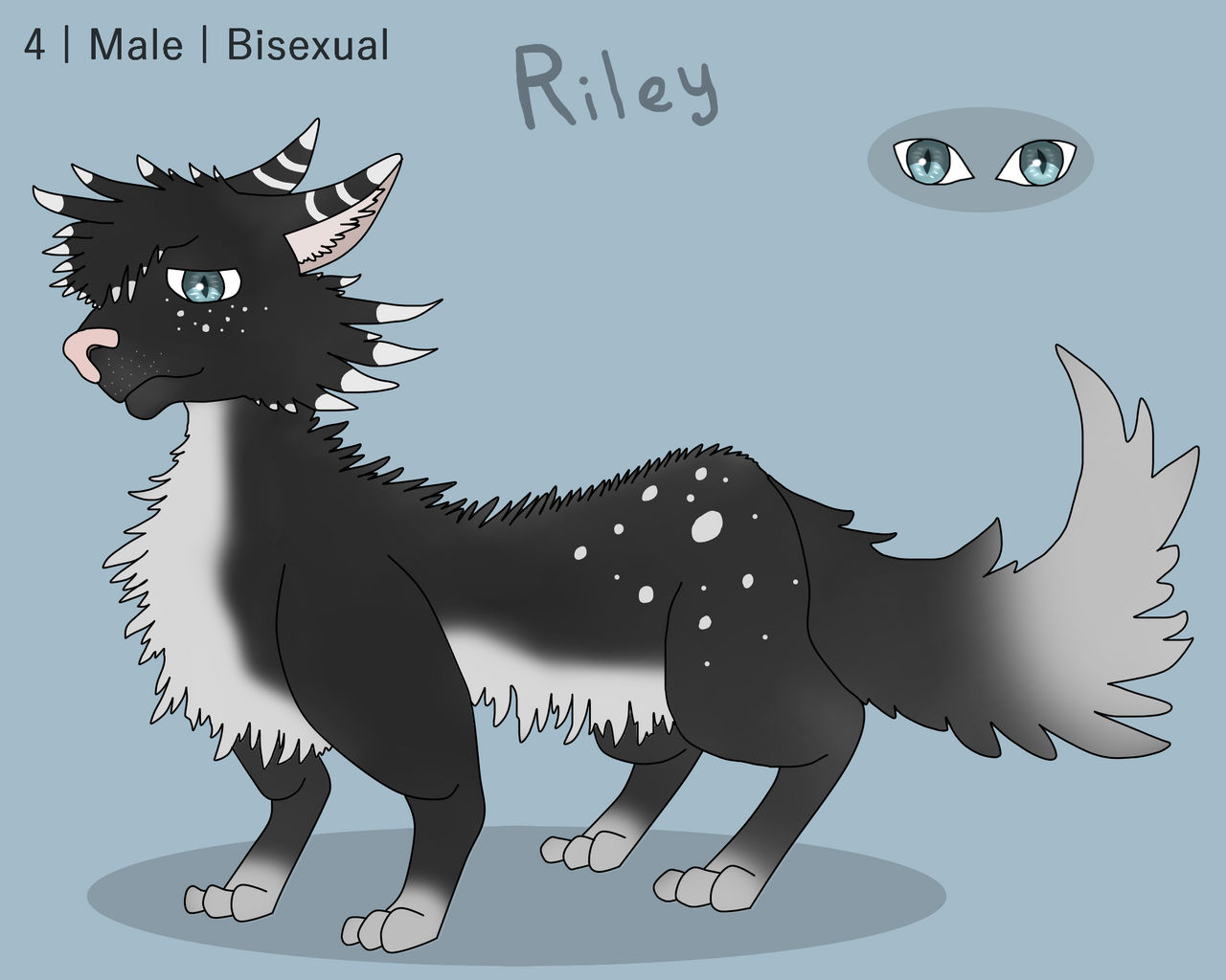 Riley (Reference Sheet) by Starleo64 on DeviantArt