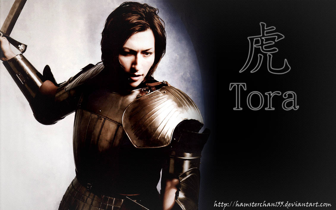 Tora Medieval 1440x900 by hamsterchan155 on DeviantArt