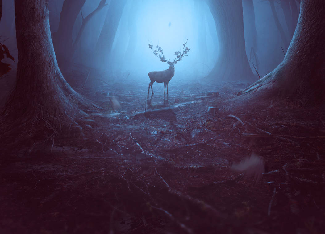 Animal dream. Мистический лес. Мистический олень. Магический олень. Oleni в таинственном лесу.