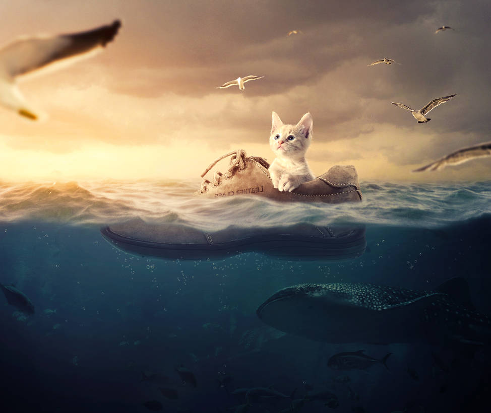 First Adventure by QueThu First Adventure by QueThu