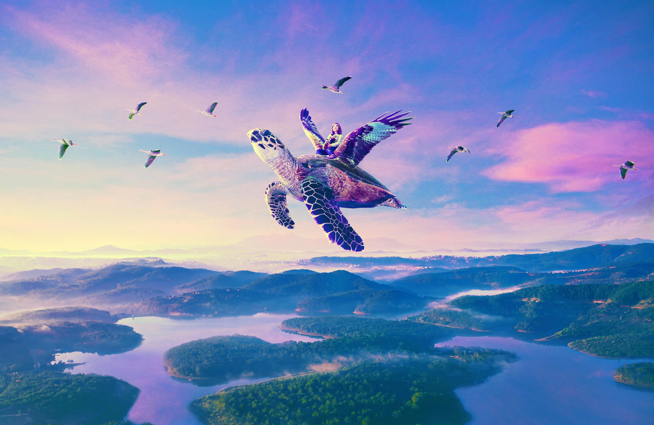 Flying Turtle by QueThu on DeviantArt